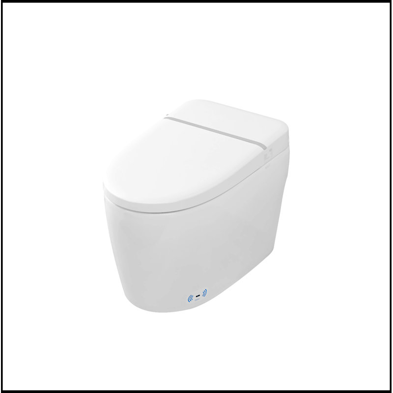 White Ceramic Smart Toilet Bidet Combo with Heated Seat and Remote Control