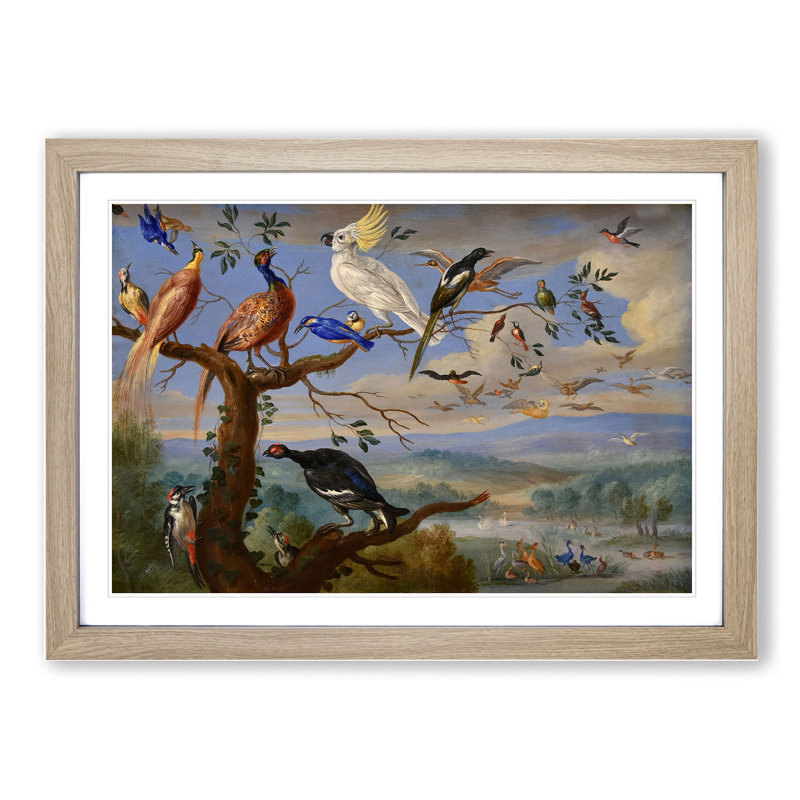 Exotic Birds by Jan Van Kessel - Picture Frame Painting, 27cm H x 36cm W x 2cm D, Oak Framed