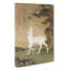 Roe Deer by Lang Shining - Wrapped Canvas-55324131