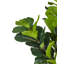 162cm Faux Fiddle Leaf Fig Tree in Planter