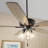 Evangeline 52'' Ceiling Fan with LED Lights