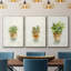Succulent I, encadré sur toile, 3 pièces-163068313-163068310