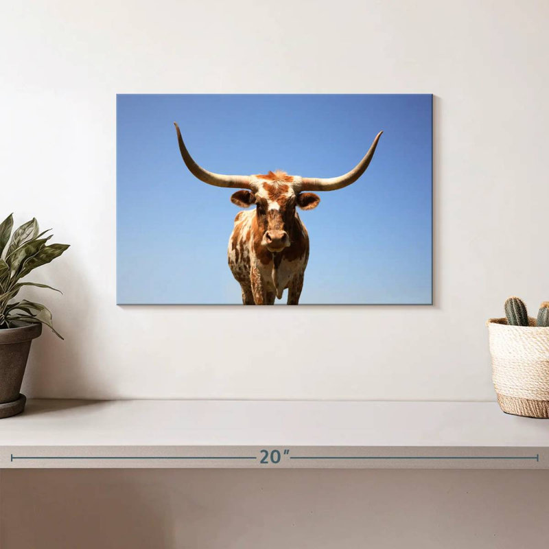 Longhorn Cattle Portrait, 8" H x 12" W
