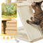 Arbre à chat 57,5 po Topeka