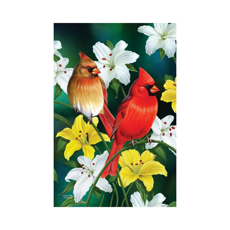 Cardinals 1 Piece Wrapped Canvas Wall Art, 45.72cm H x 30.48cm W