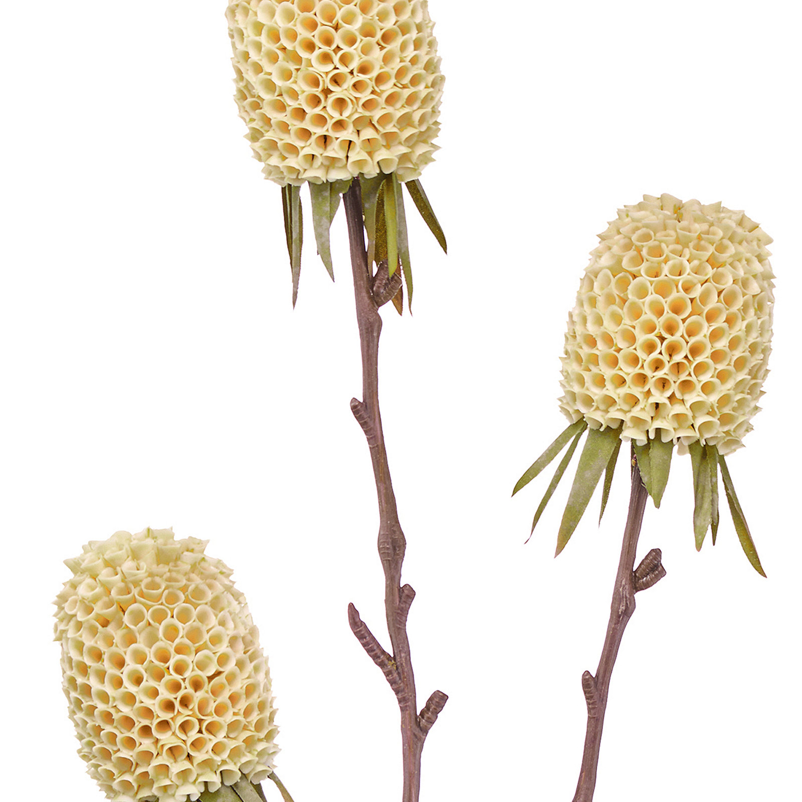 29" Autumn Thistle X3, Cream