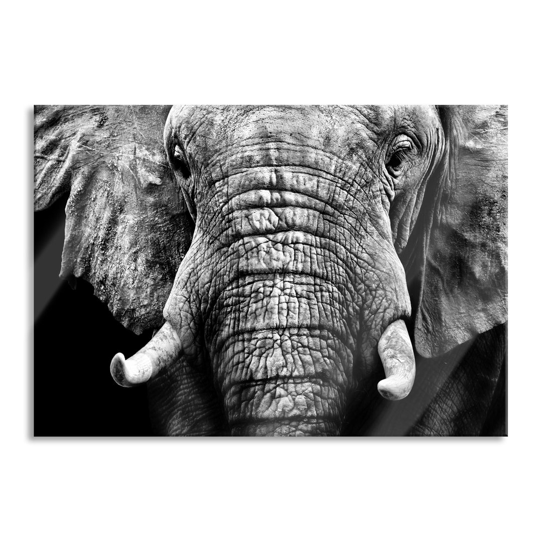 Glasbild Elephant Portrait