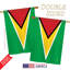 Drapeau de maison en polyester Guyana-18886434