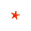 Medium Starfish-54880806