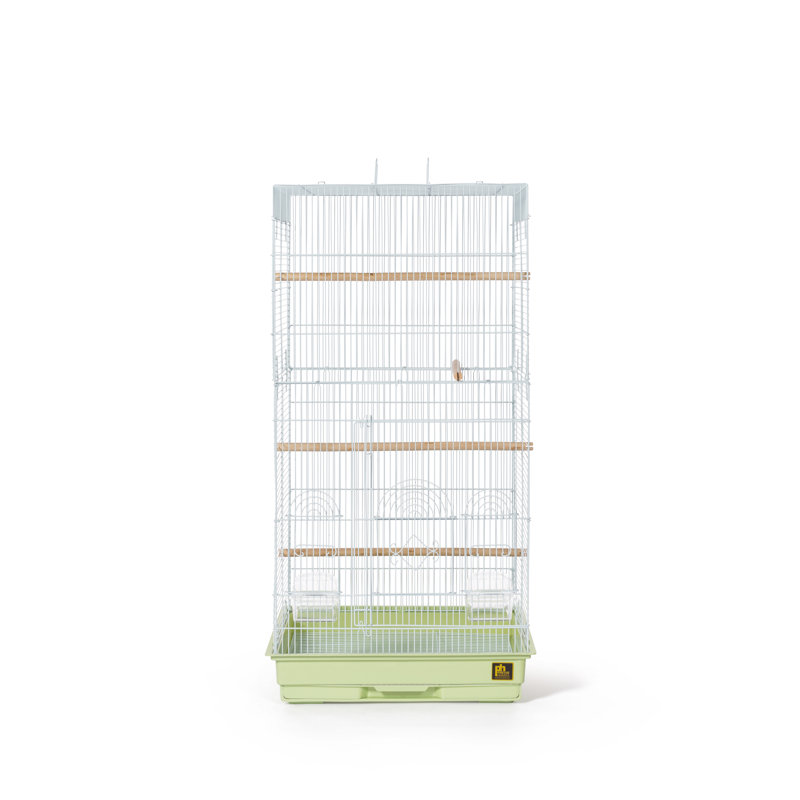 Cage à oiseaux en acier avec perche à poser pour plateau de table 36 po Hilary, Sauge vert