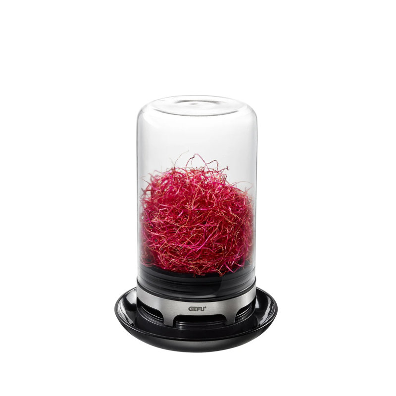 Sprouting Jar - Bivita
