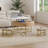 Modern Round Lift-Top Coffee Table with Storage & 3 Ottoman White & Natural-908922715