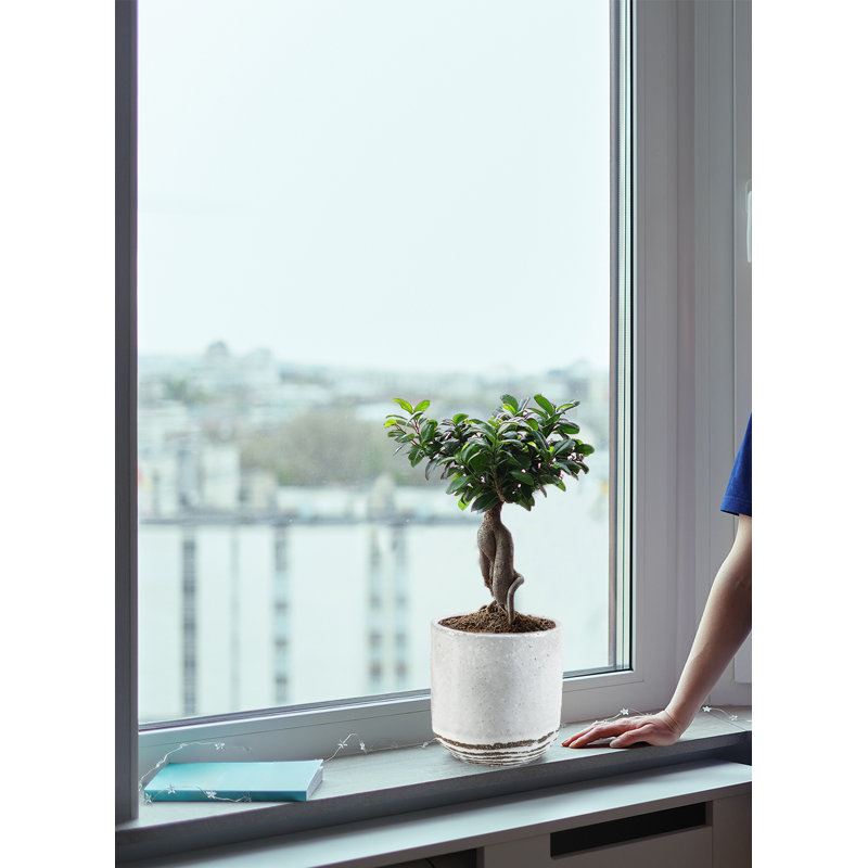 Ceramic Table Vase