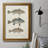 " Species Of Antique Fish III " Painting Print-179456916