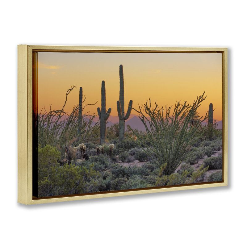 «Sunset Desertscape Cacti Floater» par Marty Hulsebos, Cadre flottant métallique doré, H 17 po x l 25 po