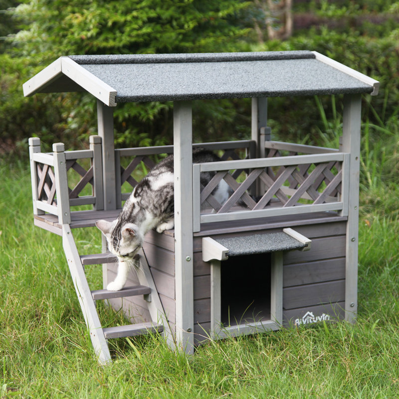Portable Cat House
