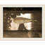 Floating Leaf' Framed Photographic Print on Glass