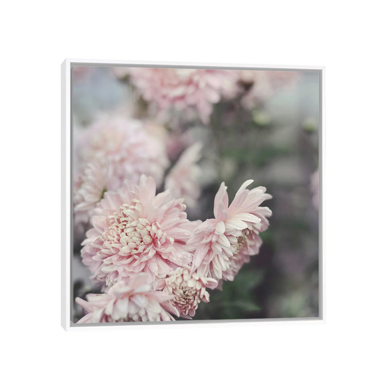 Evening Blooms by Sarah Gardner - Print on Canvas, White Floater Frame, 66.04 cm H x 66.04 cm W