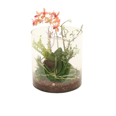 Phalaenopsis Orchid Garden in Round Glass Cylinder