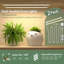 Support pour plante Renetia-1796624131