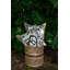 Meandering Monkey - Cotton-628503614