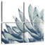 Agave bleu Harnek sur fond blanc I