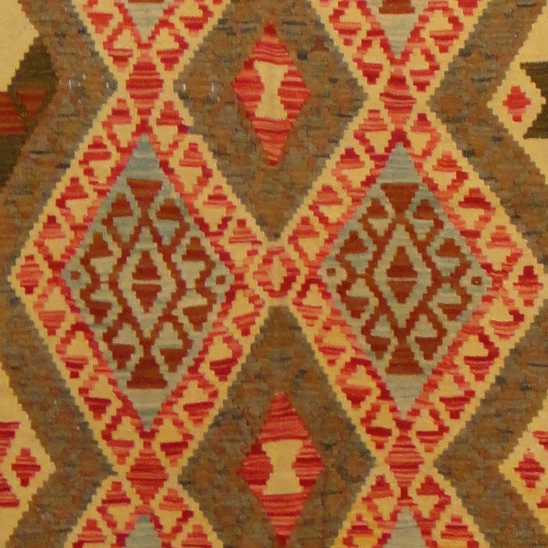 Azpeitia Wool Southwestern Indoor Rug