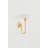 ASTER Wall Sconce