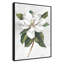 «Pearly Beauty I Print» par Eva Watts-129166350-129166353-129166415