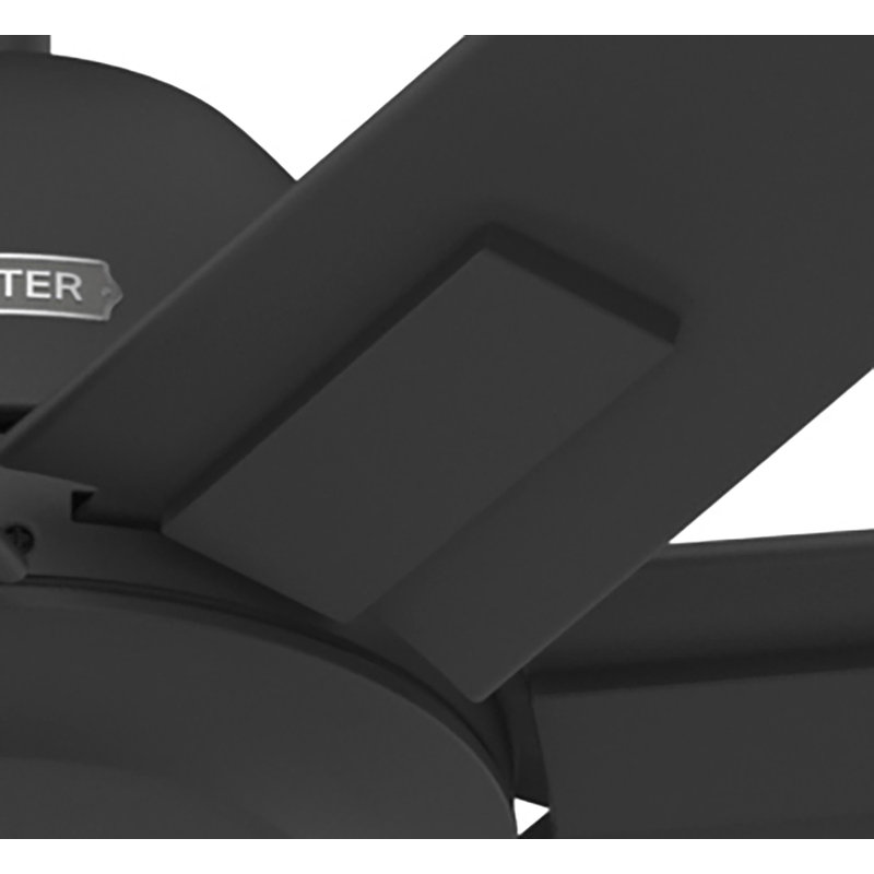 72" 7 - Blade ENERGY STAR Damp Rated Standard Ceiling Fan with Wall Control, Matte Black