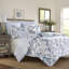 Ensemble d'édredon en coton Laura Ashley Chloe-1039842049