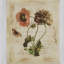 Ensemble de 2 serviettes pour chambre d'invité en éponge Maccarone