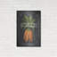 «Fresh Carrots» par House Fenway-1576398249
