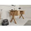 X-Club Writing Desk