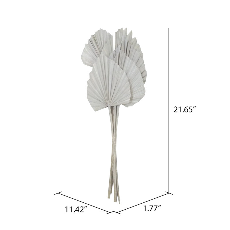 Très grande lance de palmier blanc délavé 20 po Natural Botanicals. Comprend 10 pièces par bouquet.