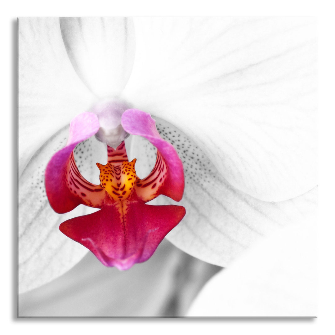 Glasbild Anmutige Orchideen Blüte