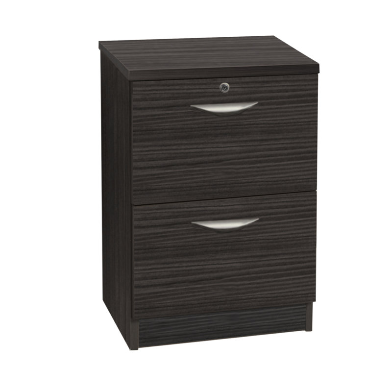48 cm W 2 -Drawer Filing Cabinet, Black Havana