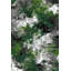 Papier peint à motif abstrait camouflage vert
