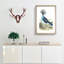 Crowned Pigeon by George Shaw - Picture Frame Painting Print-55621413-55621412