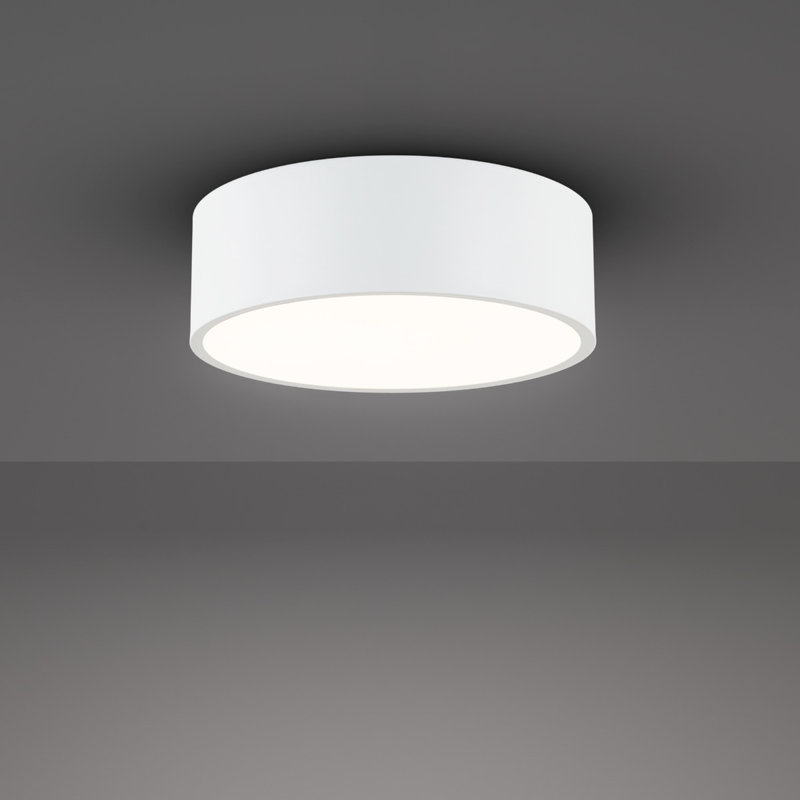 Tube 12in LED Round Flush Mount 36W 2,300 Lumens 5-CCT Selectable 2700-3000-3500-4000-5000K in White, White, 12in Size