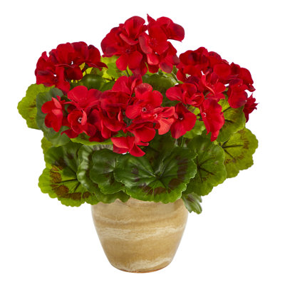 Flowering Floral Arrangements and Centerpieces in Planter