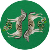 Zebra Seeing Double Placemat
