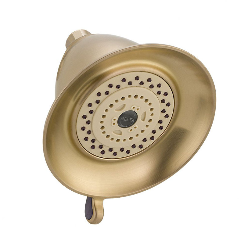 Pomme de douche 2,5 GPM Universal Showering components, Bronze-Champagne lustré