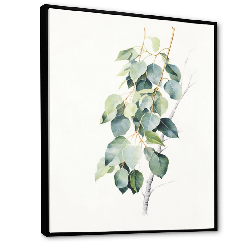 Vert, blanc, minimalisme, eucalyptus Essence II - impression, H 32 po x l 16 po x P 1,5 po, Cadre flottant noir