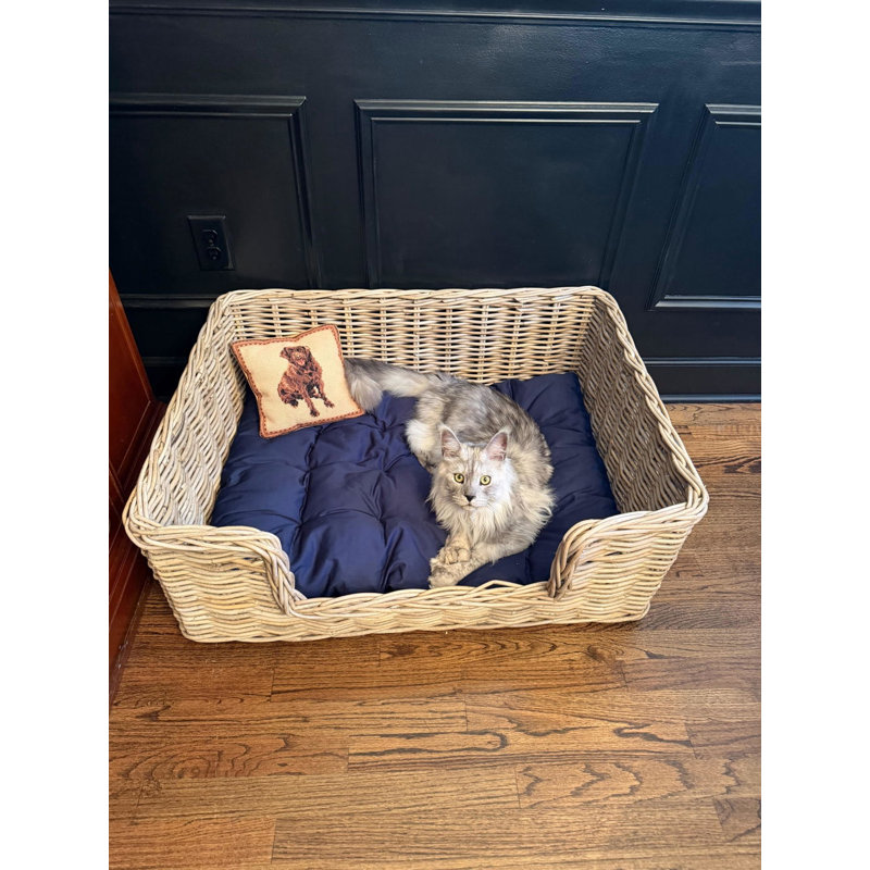 Pet Bowl - M