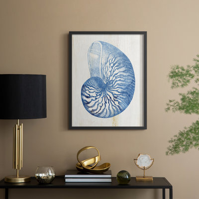 Shell IV Framed Print - Solid Wood