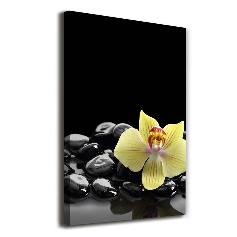 Orchid And Stones - Wrapped Canvas Print