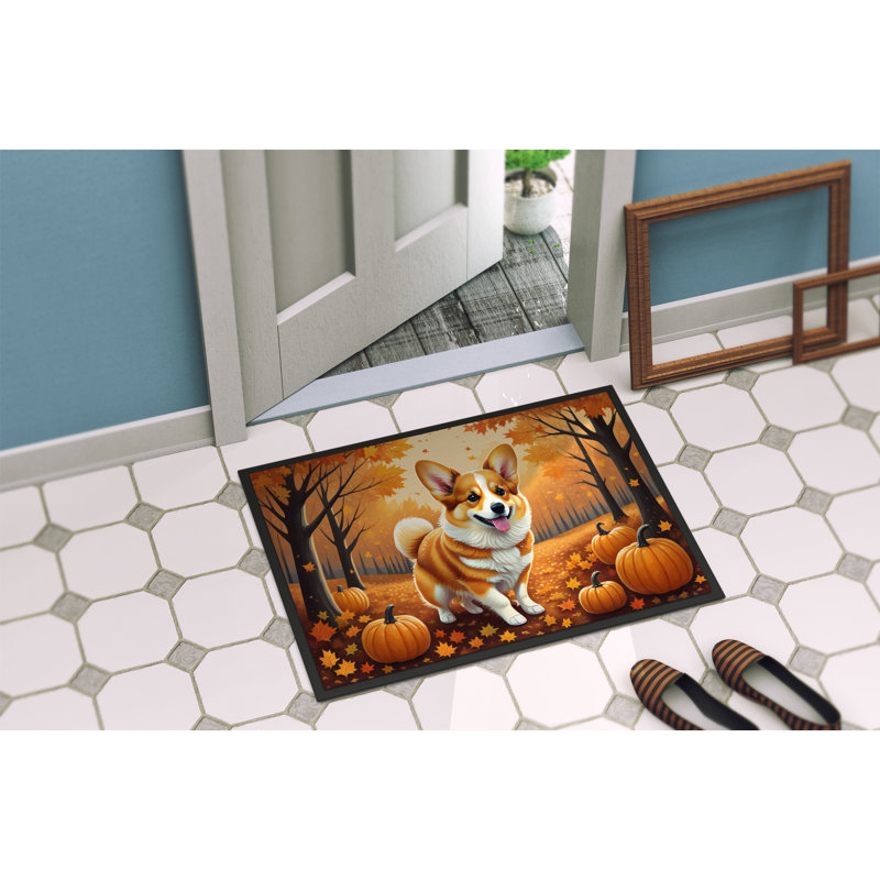 Tapis d'entrée / extérieur antidérapant Nomie, L 24 po x L 36 po