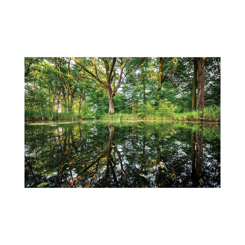 MTU51-Forêt de conte de fées, H 12 po x l 18 po x 1,5 po