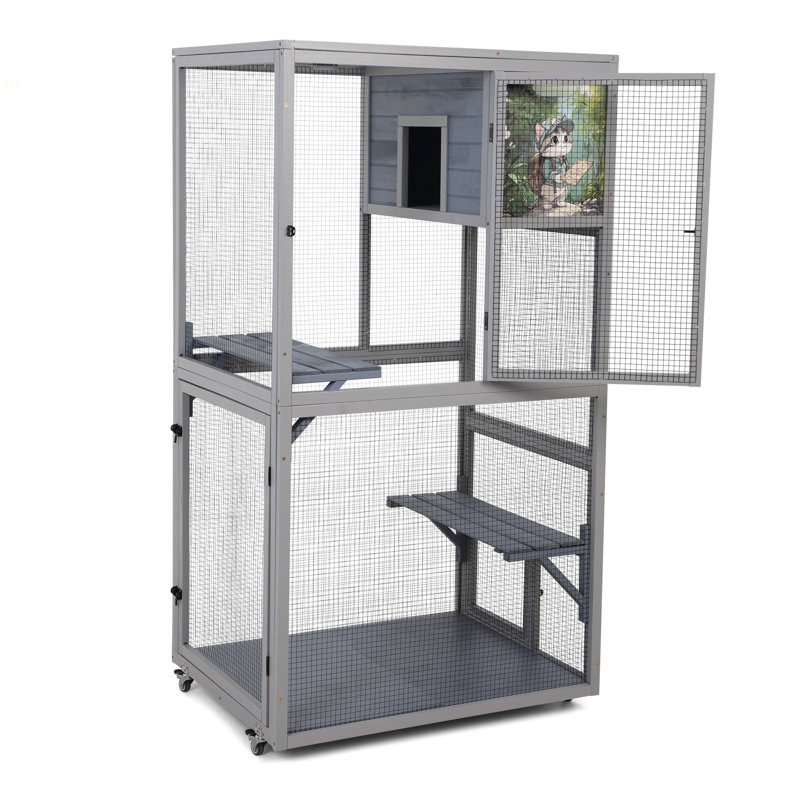 Enceinte d'extérieur pour chat Catio 66 po